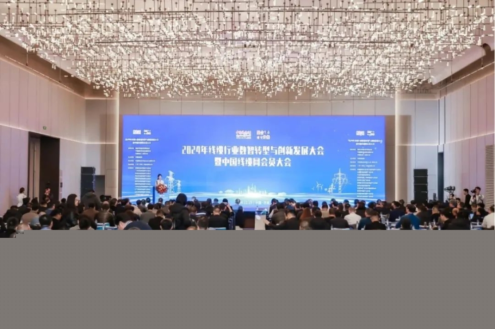 萬馬股份榮獲“2024年度中國(guó)線纜行業(yè)領(lǐng)軍品牌企業(yè)”